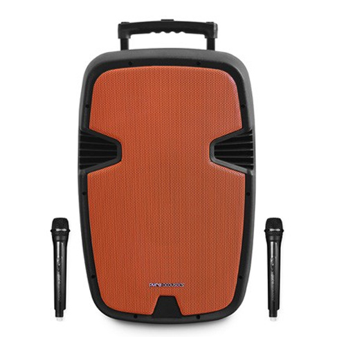 בידורית קריוקי Pure Acoustics PMW3012