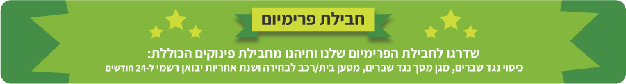 Promotional Banner