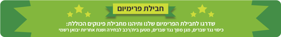 Promotional Banner